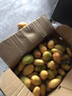 味果生海南小臺農芒果新鮮現摘小臺芒應當季熱帶水果特產(chǎn)甜心芒果整箱 9斤凈重8.5斤 大果裝 曬單實(shí)拍圖