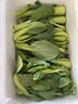 山東當季農家自種大棚油白菜上海青四季青現摘新鮮清脆有機蔬菜 小油菜3斤 【泡沫箱保溫袋】發(fā)貨 曬單實(shí)拍圖
