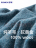 羅蒙【100%羊毛】純羊毛衫男秋冬圓領(lǐng)毛衣男士薄款套頭打底針織衫男裝 曬單實(shí)拍圖