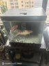 森森超白玻璃魚(yú)缸一體缸自循環(huán)免安裝XHE-480(黑) 曬單實(shí)拍圖