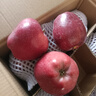 甘肅天水花牛蘋(píng)果整箱當季新鮮紅蛇果粉面脆甜多汁生鮮A5 帶箱9斤  果徑75mm以上 曬單實(shí)拍圖
