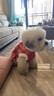 阿莫爾狗狗衣服新年唐裝冬季加厚保暖小型犬比熊泰迪博美過(guò)年喜慶龍袍裝 紅色金龍 XS（建議1-3斤 參考胸圍背長(cháng)） 曬單實(shí)拍圖