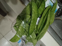 小湯山 荷蘭豆 200g 基地直供新鮮蔬菜安全可追溯春節也送貨 曬單實(shí)拍圖