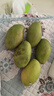 夢(mèng)茜兒凱特芒果 9斤特大青芒正宗四川新鮮青皮熱帶水果當季現摘整箱 3斤【1斤起/枚】普通快遞 曬單實(shí)拍圖