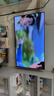 松下(Panasonic) 95新 TH-50JX680C 50英寸4K超高清全面屏 AI遠場(chǎng)語(yǔ)音智能平板電視 雙頻無(wú)線(xiàn)WiFi 二手 TH-50JX680C 2+32G 掛架 95新 曬單實(shí)拍圖