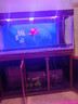 閩江大型新中式客廳家用落地魚(yú)缸水族箱辦公室招財免換水底濾龍魚(yú)缸 【4代】酸枝木 【4代大師款】150長(cháng)*60寬*163高送豪華套餐 曬單實(shí)拍圖