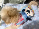 阿莫爾可牽引狗狗衣服秋冬裝泰迪比熊博美小型犬寵物貓咪保暖可愛(ài)四腳衣 紅條紋卡通小狗【可牽引】 S 建議3-5斤 具體參考尺碼表 曬單實(shí)拍圖