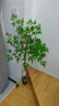 時(shí)鳥(niǎo)仿真南天竹仿真綠植高端輕奢室內大型落地盆栽客廳擺件仿生假花樹(shù) 【升級款】1桿+黑原盆 110cm 曬單實(shí)拍圖