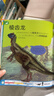 DK幼兒百科全書(shū) 那些重要的恐龍 3-6歲寶寶啟蒙認知 兒童恐龍繪本 幼小銜接知識準備 圖畫(huà)書(shū)  曬單實(shí)拍圖