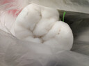 金色胡楊 新疆天然散裝長(cháng)絨棉花手工精梳棉絮胎棉衣棉被子填充棉芯學(xué)生 1.8米*2米/2斤【一整張】 曬單實(shí)拍圖