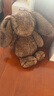 Jellycat致臻害羞霍普萊斯敦邦尼兔毛絨玩具禮物2026春夏新品情人節禮物 致臻害羞霍普萊斯敦邦尼兔 Medium 曬單實(shí)拍圖