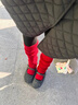 古旭紅色瑜伽襪套普拉提專(zhuān)用堆堆襪長(cháng)筒踩腳腿套襪專(zhuān)業(yè)防滑女冬季保暖 【1雙】酒紅 均碼 曬單實(shí)拍圖