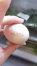 牧族可生食新鮮雞蛋NSF認證無(wú)抗生素 可生食30枚 曬單實(shí)拍圖