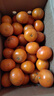 廣西沃柑花果當季沙糖蜜橘柑橘砂糖橘子桔子新鮮整箱水果批發(fā) 廣西武鳴沃柑帶箱9斤單果55mm+ 曬單實(shí)拍圖