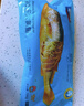 海名威 冷凍黃花魚(yú)700g/2條 寧德大黃魚(yú)地標 海鮮水產(chǎn) 生鮮魚(yú)類(lèi) 年貨節 曬單實(shí)拍圖