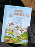 正版 尼爾斯騎鵝旅行記 世界名著(zhù)美繪珍藏 5-7-12歲兒童小學(xué)生課外童話(huà)故事繪本書(shū)青少年課外閱讀讀物兒童文學(xué)書(shū)籍化學(xué)工業(yè)出版社 尼爾斯騎鵝旅行記（美繪珍藏版） 曬單實(shí)拍圖