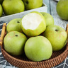 京地達梨碭山翠玉梨翠冠梨香梨子水果凈重4.8斤單果250g+源頭直發(fā) 曬單實(shí)拍圖
