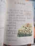 【新華書(shū)店正版】適用2026小學(xué)一年級下冊語(yǔ)文數學(xué)課本全套書(shū)人教版教材人教部編版1年級下冊語(yǔ)文數學(xué)書(shū)2本一年級下冊語(yǔ)數人教版兩本套裝 【套裝2本】一年級下冊語(yǔ)文數學(xué)課本 【套裝2本】一年級下冊語(yǔ)文數學(xué) 曬單實(shí)拍圖