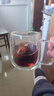 GLASSLOCK水杯雙層玻璃杯家用茶杯耐冷熱帶把手防燙辦公室隔熱咖啡杯290ml 曬單實(shí)拍圖