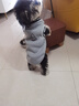 寵德多狗狗衣服貓衣服寵物衣服貓咪衣服小型犬幼犬毛衣保暖冬季 灰色 L（建議體重8-12斤） 曬單實(shí)拍圖