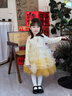 班喜迪女童連衣裙春裝2026新款寶寶公主裙子套裝周歲禮服兒童網(wǎng)紗蓬蓬裙 黃色 100 曬單實(shí)拍圖