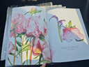 預訂 The Botanical Shoes: A Collection of Botanical Shoe Paintings in Watercolour and Words: 978180 曬單實(shí)拍圖