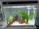 森森 超白玻璃智能桌面魚(yú)缸一體缸自循環(huán)HE-480 曬單實(shí)拍圖