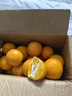 正宗廣西皇帝柑時(shí)令橘子新鮮水果當季現摘蜜桔子貢柑甜橘京東直發(fā) 【帶箱中果3斤】新鮮采摘產(chǎn)地直發(fā) 曬單實(shí)拍圖