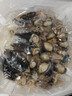 天海藏10參10鮑大盆菜2000g  加熱即食海參鮑魚(yú)佛跳墻年貨禮盒預制菜 曬單實(shí)拍圖