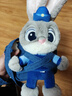 迪士尼（Disney）瘋狂動(dòng)物城朱迪斜挎包兔子玩偶包毛絨玩具娃娃女孩生日禮物女朋友 曬單實(shí)拍圖