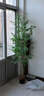 假綠植裝飾仿真大葉南天竹室內盆栽大型落地擺件客廳輕奢植物造景 1.8m|南天竹4桿+黑色原盆 曬單實(shí)拍圖