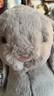 Jellycat花布邦尼兔動(dòng)物毛絨玩偶兔子玩偶兒童禮物娃娃生日情人節禮物 布絡(luò )木（銀色） Medium 曬單實(shí)拍圖