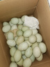 九萬(wàn)鵬山東新鮮鴨蛋15枚凈重1.8斤 雜糧喂養 源頭直發(fā)包郵  曬單實(shí)拍圖