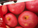 京鮮生 煙臺紅富士蘋(píng)果 凈重10斤 單果220g以上 水果禮盒 曬單實(shí)拍圖