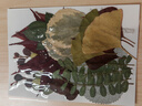 玩轉天下干花兒童diy材料包花壓花片押花草手工滴膠書(shū)簽真花植物樹(shù)葉標本 曬單實(shí)拍圖