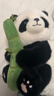 呆萌新款創(chuàng  )意抱竹子熊貓玩偶卡通毛絨玩具安撫睡覺(jué)抱枕禮物擺件 抱竹子熊貓 35厘米【優(yōu)質(zhì)毛絨】 曬單實(shí)拍圖