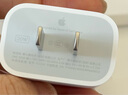 Apple/蘋(píng)果 20W USB-C充電器  type-c充電器蘋(píng)果手機充電器原裝手機快充頭 蘋(píng)果17手機充電器 曬單實(shí)拍圖