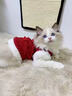 貓咪狗狗衣服秋冬季加絨保暖寵物狗小型紅色衣服喜慶泰迪新年絨衣 XS(胸圍30cm1-3斤) 曬單實(shí)拍圖