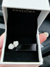 潘多拉（PANDORA）[新年禮物]雪映玫瑰耳釘白色優(yōu)雅高級時(shí)尚小眾設計感 曬單實(shí)拍圖