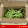 荷蘭豆新鮮蔬菜青豌豆甜脆豌豆苗四季豆扁豆當季時(shí)令新鮮蔬菜 新鮮荷蘭豆1斤【農家自種】 曬單實(shí)拍圖