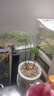 文竹盆栽綠植花卉盆景植物室內客廳水培文松云竹文竹大苗四季常青 文竹【1顆】原盆原土球發(fā)貨 高度15-25cm 曬單實(shí)拍圖