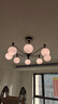 歐普照明（OPPLE）全光譜護眼復古奶油風(fēng)中古風(fēng)智能吊燈客廳吊燈餐廳吊燈 咖啡豆8頭 曬單實(shí)拍圖