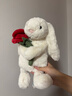 Jellycat乳白色懷抱玫瑰邦尼兔毛絨禮物玩偶2026情人節新品生日情人節禮物 乳白色懷抱玫瑰邦尼兔 Medium 曬單實(shí)拍圖