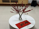 精品進(jìn)口北美冬青鮮切枝水培植物鮮花束紅果水養室內年宵花卉真花 北美冬青鮮切枝高40-45cm《5支》 曬單實(shí)拍圖