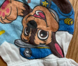 汪汪隊立大功（PAW PATROL）兒童汗巾幼兒園棉A類(lèi)4層紗布寶寶吸汗巾小孩男童墊背巾PA1832  L 曬單實(shí)拍圖