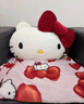 野獸派家居（tbh）三麗鷗Hello Kitty二合一法蘭絨抱枕毯子 毛絨午睡毯車(chē)載靠枕 二合一法蘭絨毯/抱枕 蝴蝶結 曬單實(shí)拍圖