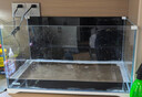 森森 超白玻璃小魚(yú)缸HWK-600P裸缸款水草缸金魚(yú)缸小型水族箱水草缸  曬單實(shí)拍圖