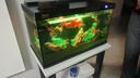 森森金麟超白智能魚(yú)缸小型桌面免換水生態(tài)魚(yú)缸一體缸自循環(huán) 【自動(dòng)喂食】LE-480B+假山水草景+加熱棒 曬單實(shí)拍圖