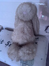 Jellycat致臻斯普林洛邦尼兔毛絨玩具玩偶禮物2026春夏新品生日情人節禮物 淺黃色 Huge 曬單實(shí)拍圖
