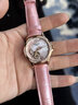 流浪琴撫瑞士原裝正品進(jìn)口女士手表潮流飛輪機械表送禮首選生日禮物女表 貝母盤(pán)玫金粉面粉帶 30mm 曬單實(shí)拍圖